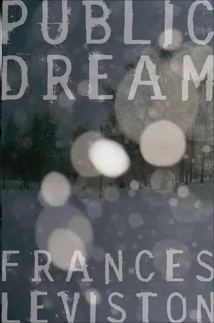 Public Dream - Paperback