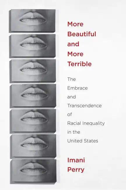 More Beautiful and More Terrible: The Embrace and Transcendence of Racial Inequality in the United States - Paperback