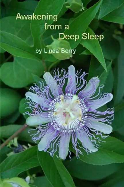Awakening From A Deep Sleep - Paperback