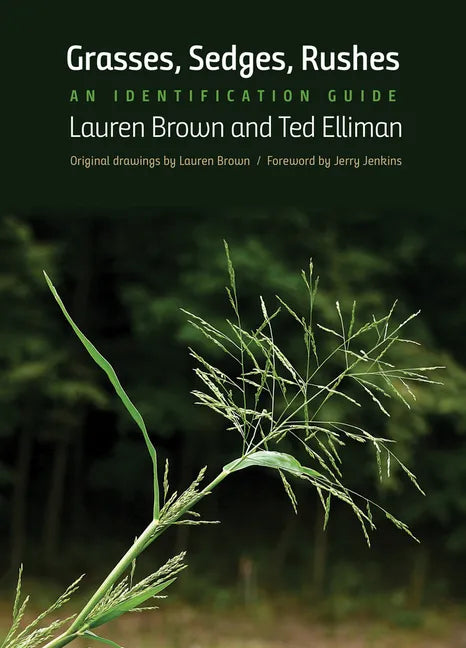 Grasses, Sedges, Rushes: An Identification Guide - Paperback