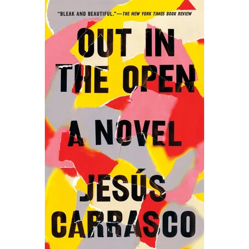 Out in the Open - Paperback