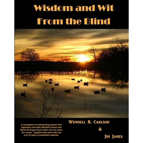 Wisdom and Wit From the Blind - Paperback