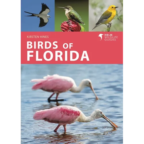Birds of Florida - Paperback