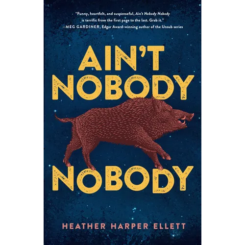 Ain't Nobody, Nobody - Paperback