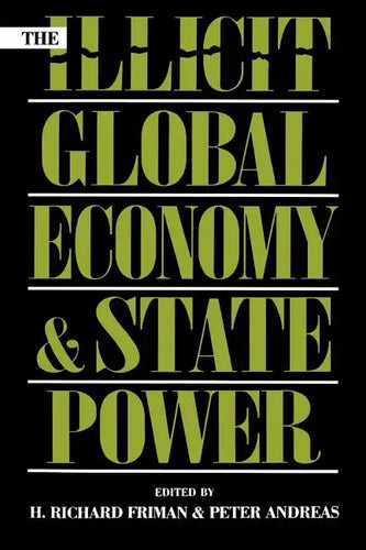 The Illicit Global Economy and State Power - Paperback