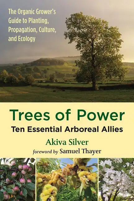 Trees of Power: Ten Essential Arboreal Allies - Paperback