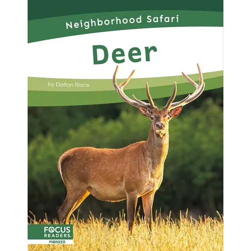 Deer - Paperback