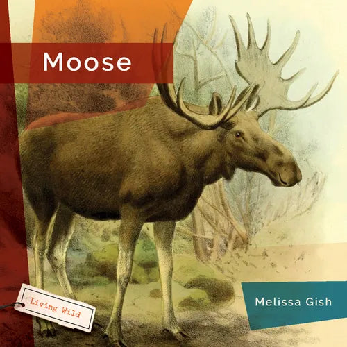 Moose - Library Binding