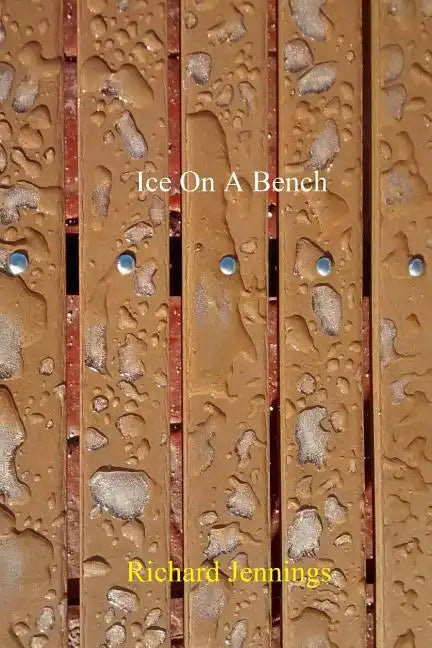 Ice on a Bench - Paperback