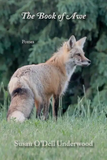 The Book of Awe - Paperback