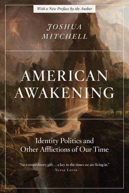 American Awakening: Identity Politics and Other Afflictions of Our Time - Paperback