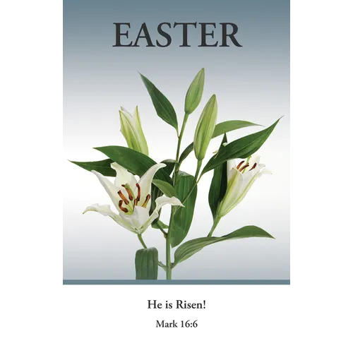 Easter Bulletin: He Is Risen (Package of 100): Mark 16:6 (Kjv) - Paperback