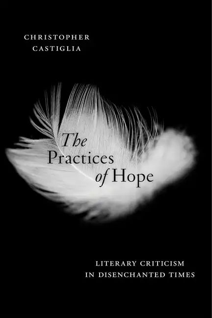 The Practices of Hope: Literary Criticism in Disenchanted Times - Paperback