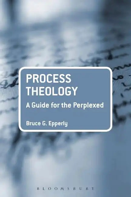 Process Theology: A Guide for the Perplexed - Paperback