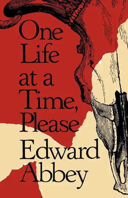One Life at a Time, Please - Paperback
