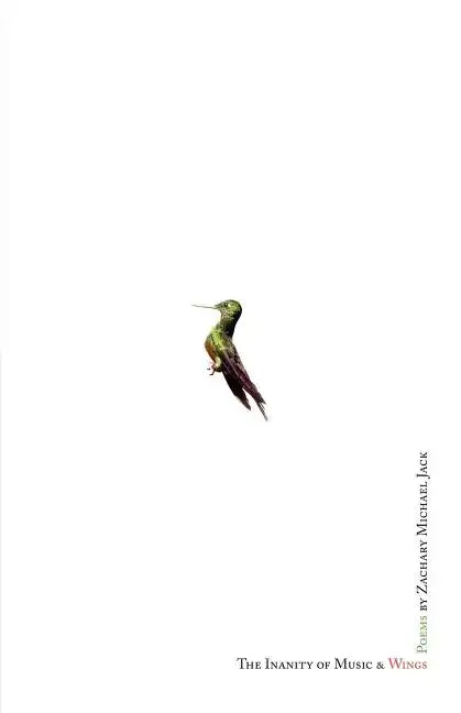 The Inanity of Music and Wings - Paperback