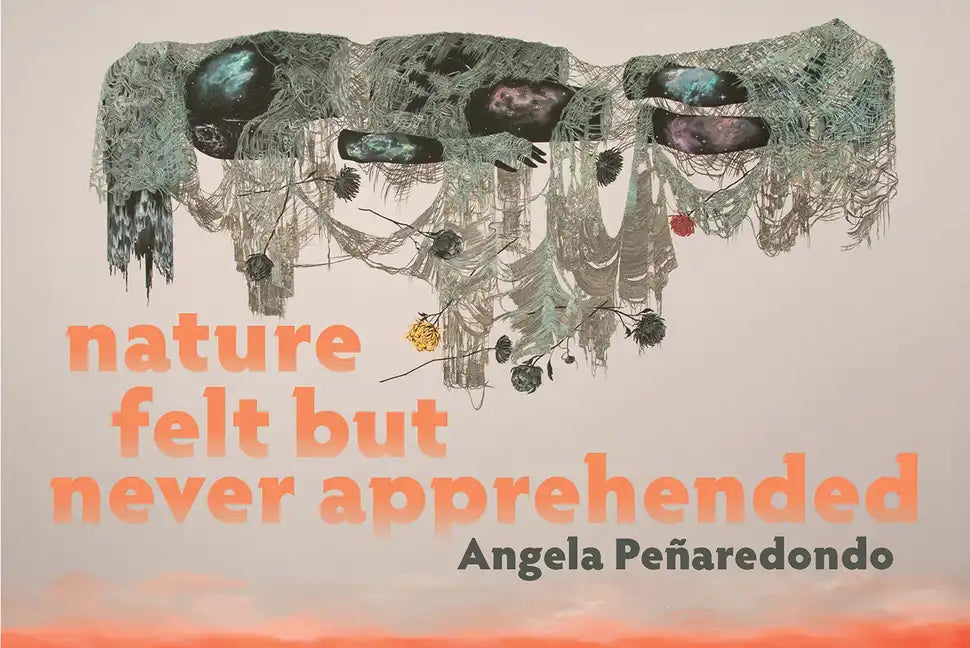 Nature Felt But Never Apprehended - Paperback