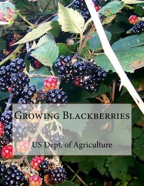 Growing Blackberries - Paperback