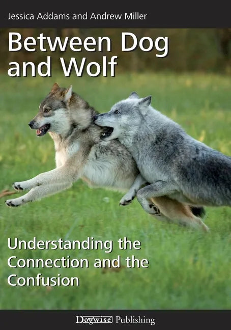 Between Dog and Wolf: Understanding the Connection and the Confusion - Paperback