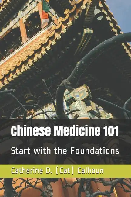 Chinese Medicine 101: Start with the Foundations - Paperback