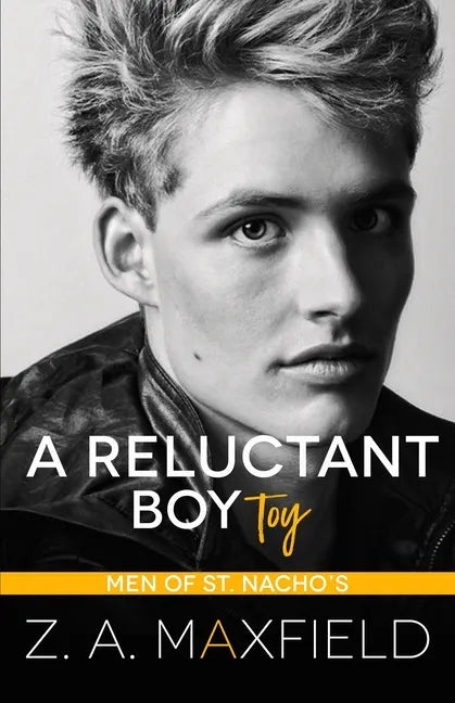 A Reluctant Boy Toy: A demisexual, bi awakening romance - Paperback