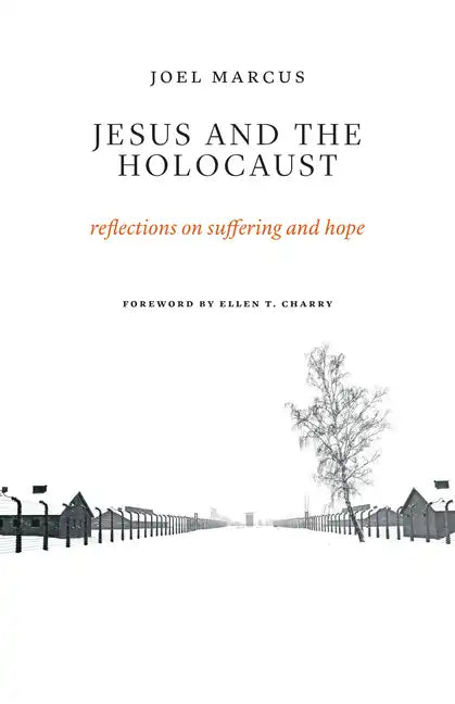 Jesus and the Holocaust: Reflections on Suffering and Hope - Paperback