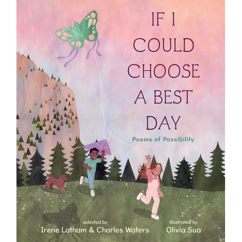 If I Could Choose a Best Day: Poems of Possibility - Hardcover