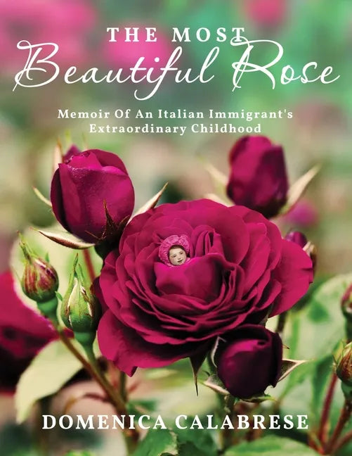 The Most Beautiful Rose: Memoir Of An Italian Immigrant's Extraordinary Childhood - Paperback