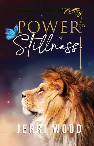 Power in Stillness - Paperback