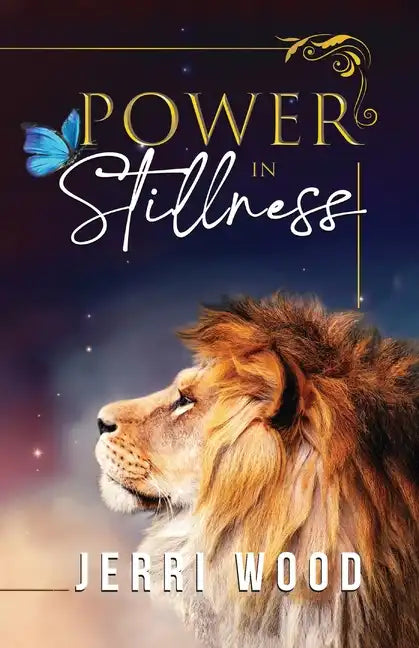 Power in Stillness - Paperback