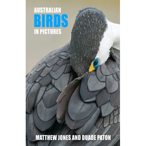 Australian Birds in Pictures - Hardcover