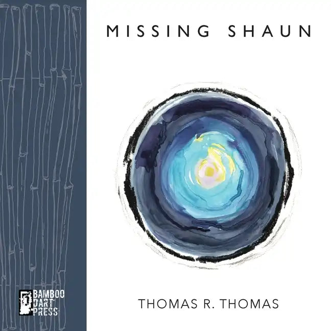 Missing Shaun - Paperback