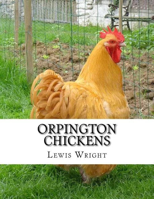 Orpington Chickens: From The Book of Poultry - Paperback