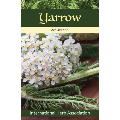Yarrow: Herb of the Year(TM) 2024 - Paperback