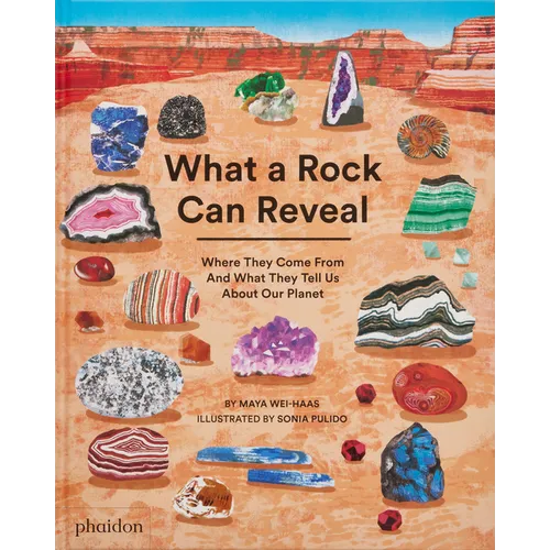 What a Rock Can Reveal: Where They Come from and What They Tell Us about Our Planet - Hardcover
