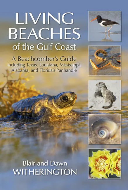Living Beaches of the Gulf Coast: A Beachcombers Guide Including Texas, Louisiana, Mississippi, Alabama and Florida's Panhandle - Paperback