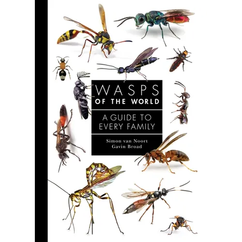 Wasps of the World: A Guide to Every Family - Hardcover
