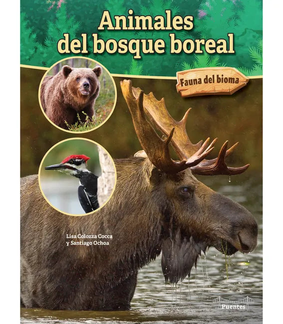 Animales del Bosque Boreal: Boreal Forest Animals - Hardcover
