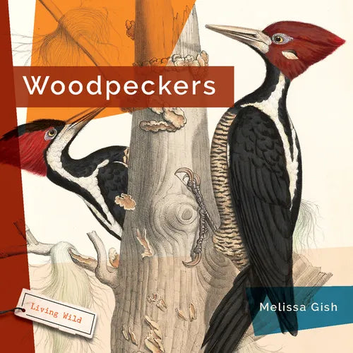 Woodpeckers - Library Binding