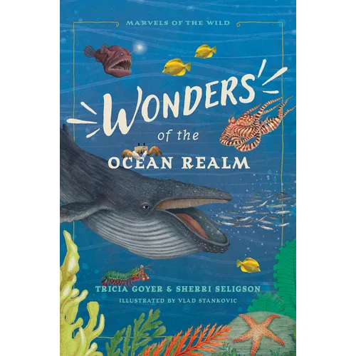 Wonders of the Ocean Realm: 5 Under-The-Sea Tales of Faith and Science for Kids - Paperback