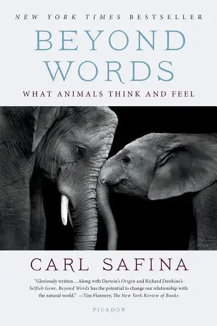 Beyond Words: What Animals Think and Feel - Paperback