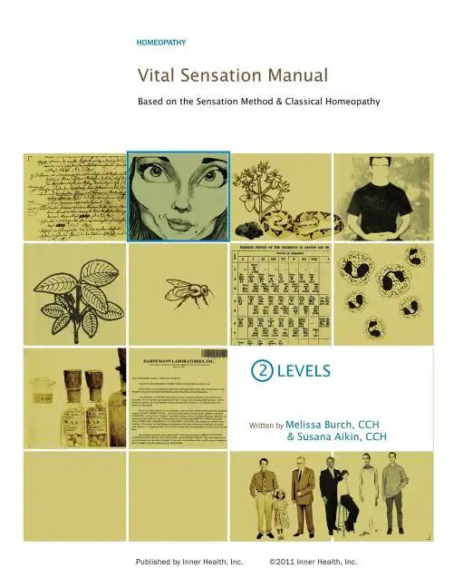 Vital Sensation Manual Unit 2: Levels in Homeopathy: Based on the Sensation Method & Classical Homeopathy - Paperback