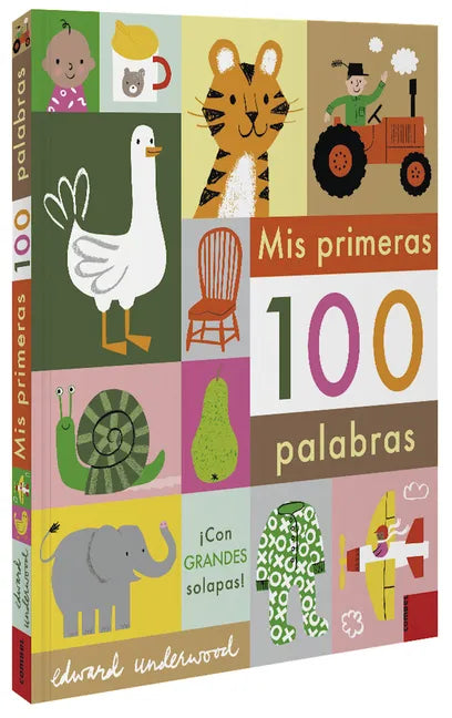 MIS Primeras 100 Palabras - Board Book