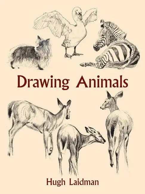 Drawing Animals - Paperback