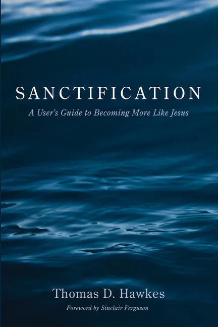 Sanctification: A User's Guide to Becoming More Like Jesus - Paperback