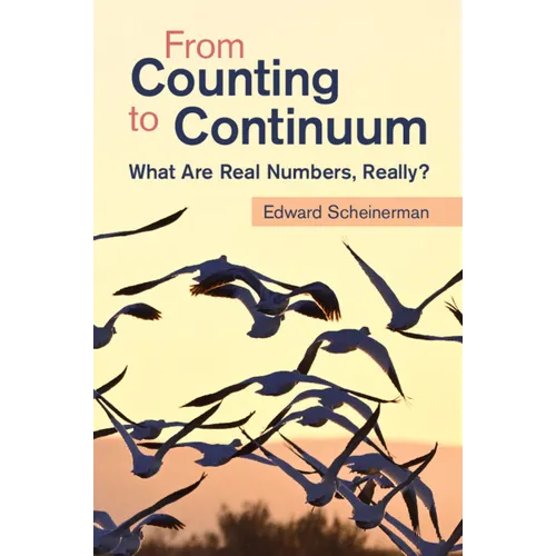 From Counting to Continuum - Paperback