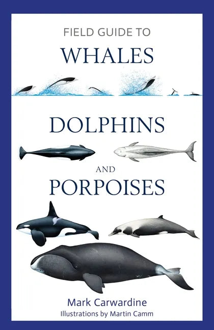 Field Guide to Whales, Dolphins and Porpoises - Paperback