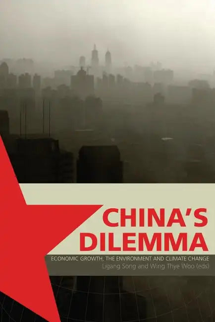 China's Dilemma: Economic Growth, the Environment and Climate Change - Paperback