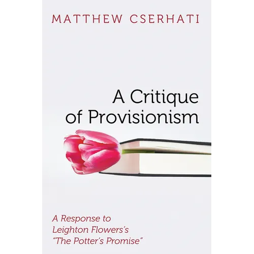 A Critique of Provisionism - Paperback