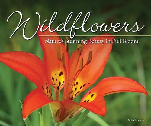 Wildflowers: Nature's Stunning Beauty on Display - Paperback
